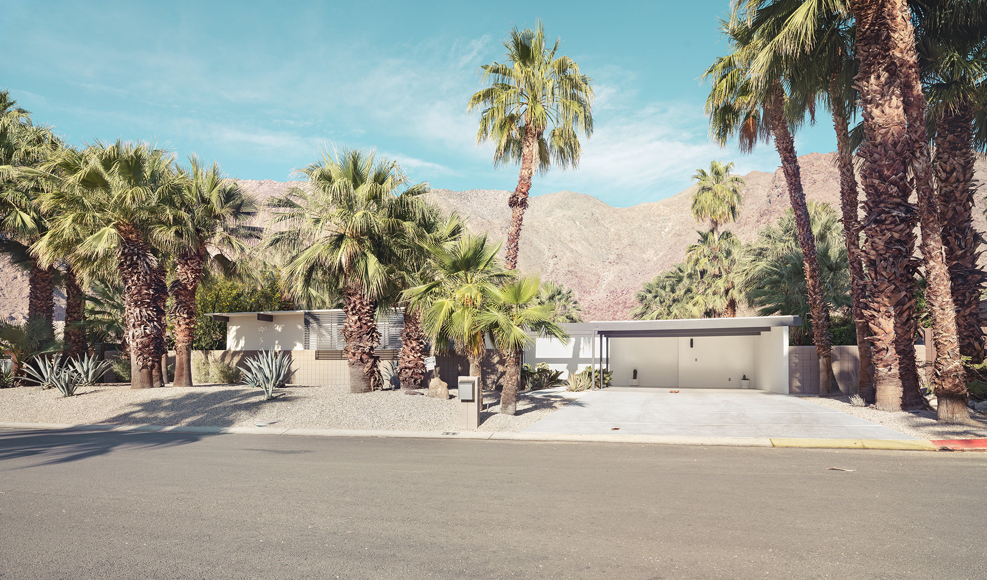 architecture, usa, california, palm springs, california, desert, palms, house, anke luckmann, www.ankeluckmann.com