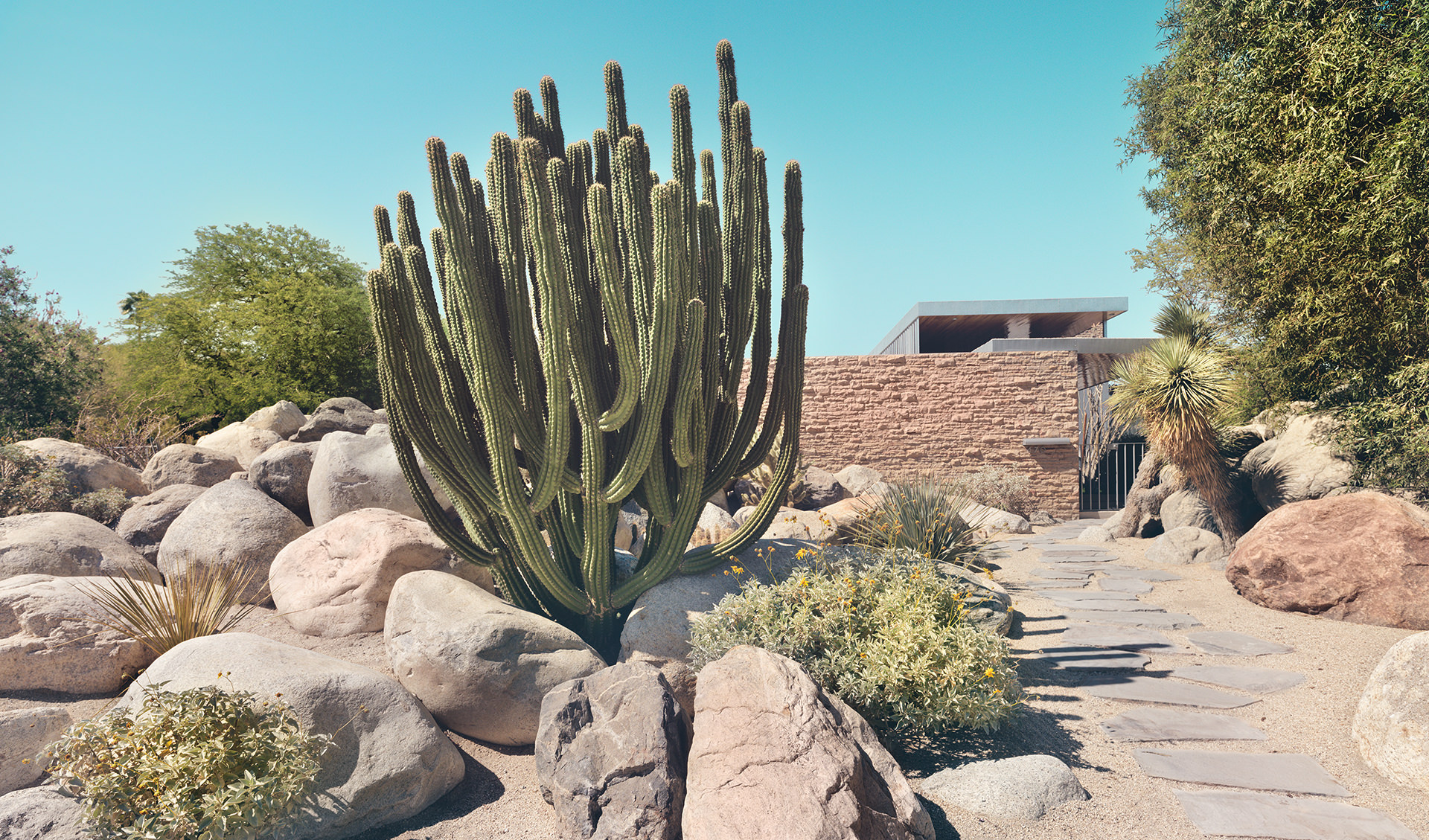 architecture, usa, california, palm springs, california, desert, palms, house, anke luckmann, www.ankeluckmann.com